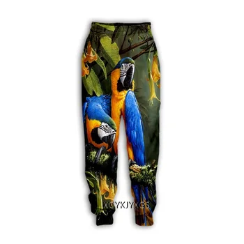 Новые мужские/женские повседневные брюки с 3D принтом Животного Попугая, модная уличная одежда, Мужские Свободные Спортивные Длинные брюки F10