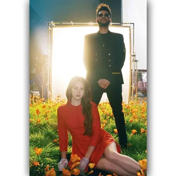 Новые звезды рэп-соула Lana Del Rey и The Weeknd-Подарок для украшения стены шелковым художественным плакатом